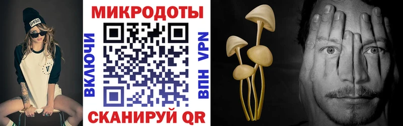 Псилоцибиновые грибы прущие грибы  Купить закладки  Липецк 
